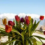 Chalet Papillon By Interhome Nendaz