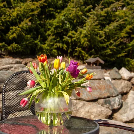 Papillon By Interhome * Nendaz