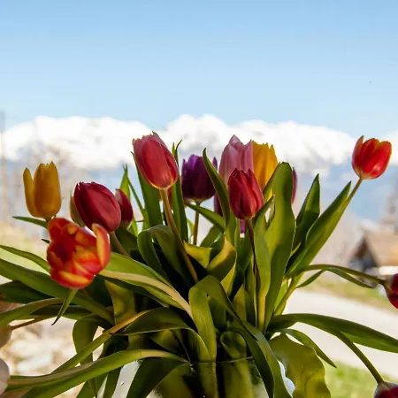 Horská chata Papillon By Interhome Nendaz