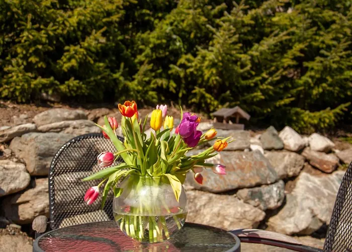 Papillon By Interhome * Nendaz