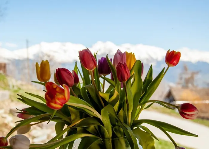 Domek alpejski Papillon By Interhome Nendaz